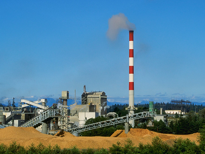 pulp mill