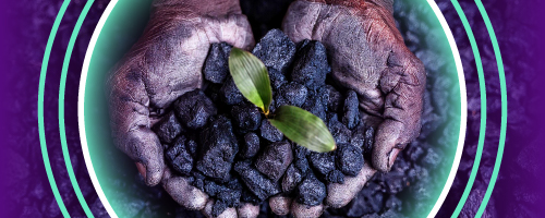 carbon capture