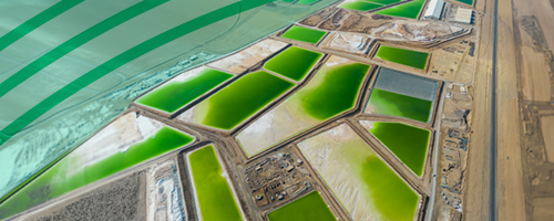 Our Industrial Life July 11 newsletter