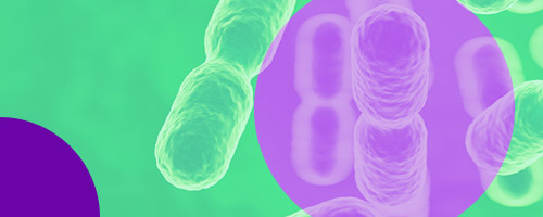 Microbes and the future of the plastics industry 
