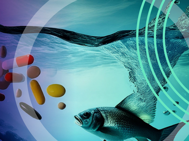 Benign-by-design pharmaceuticals