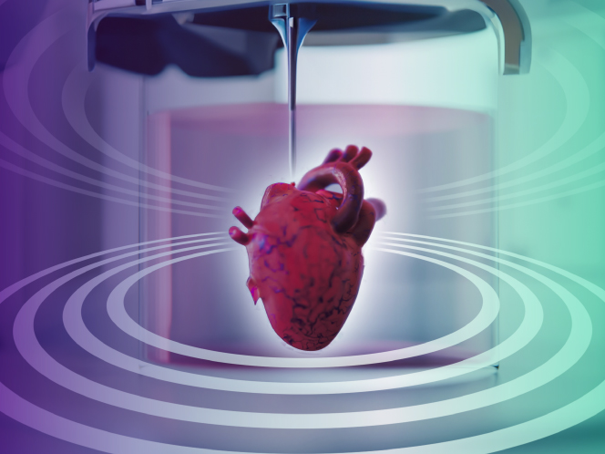 3D Bioprinting: The future of customized tissues and organ replacement