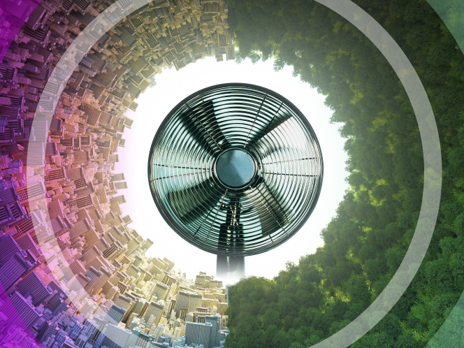 How cities are heat-proofing for climate change