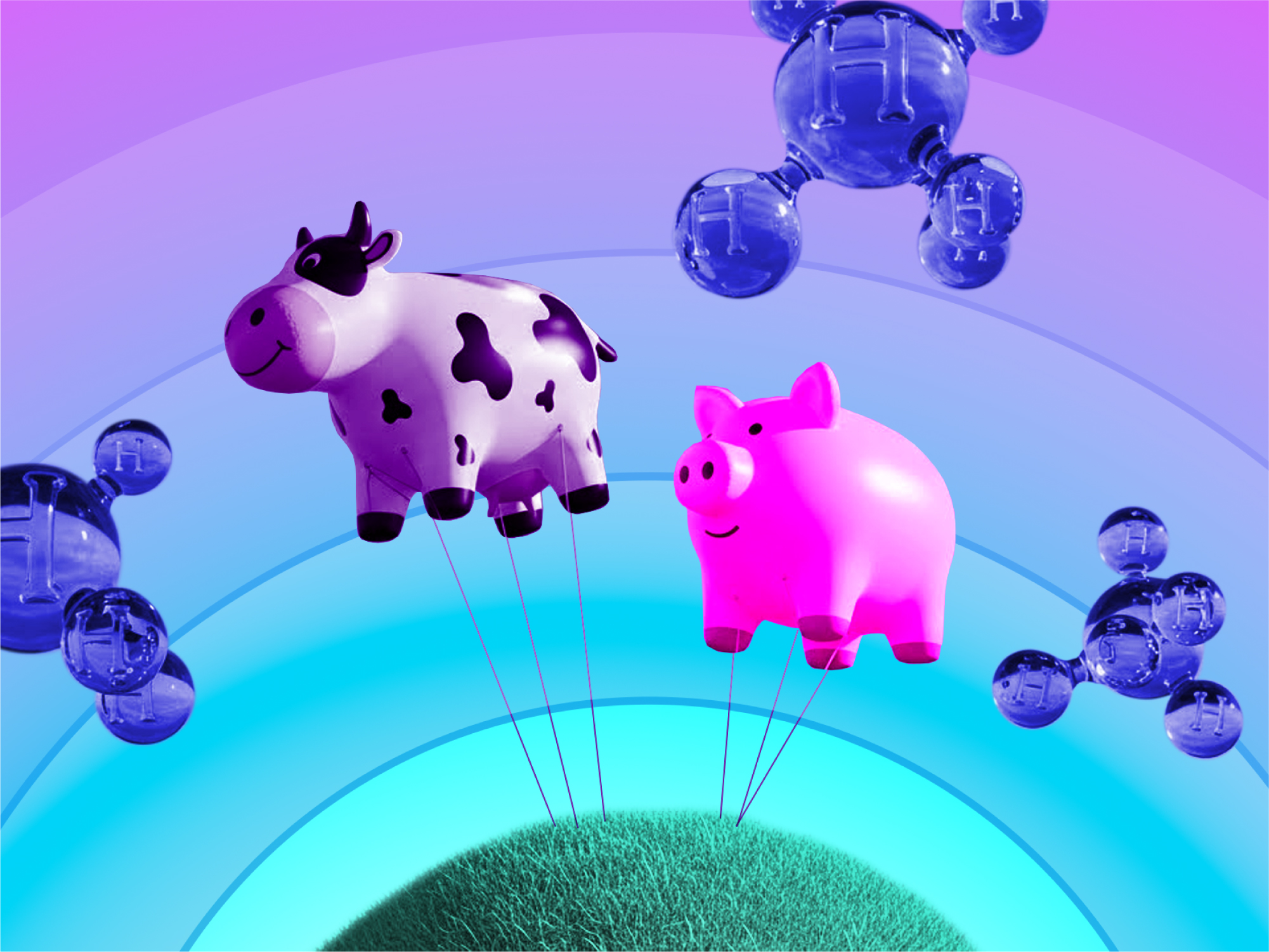 From waste to profit: changing the way agriculture sees waste