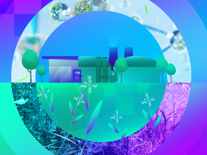 The potential of the chemicals bioeconomy 