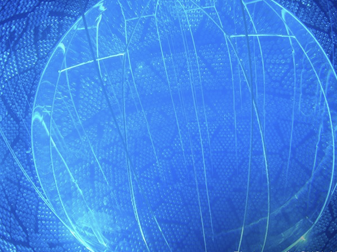 Dark matter and ghost particles