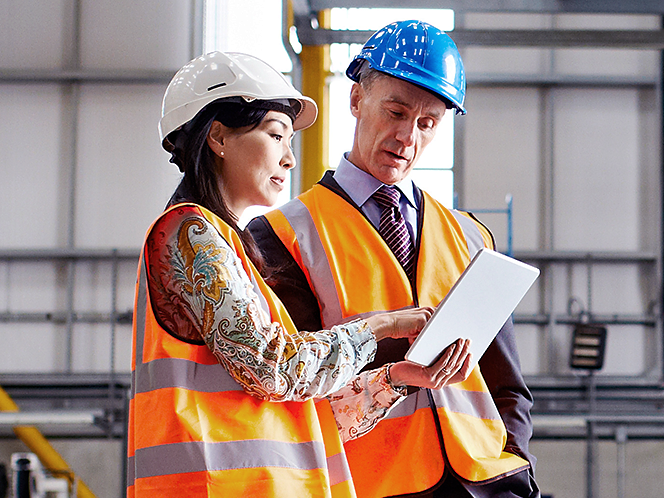 La transformación industrial de la celulosa y el papel